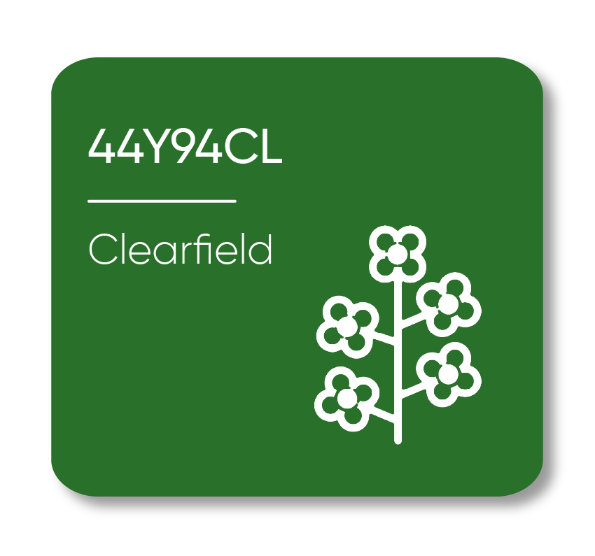 Description of Image 1