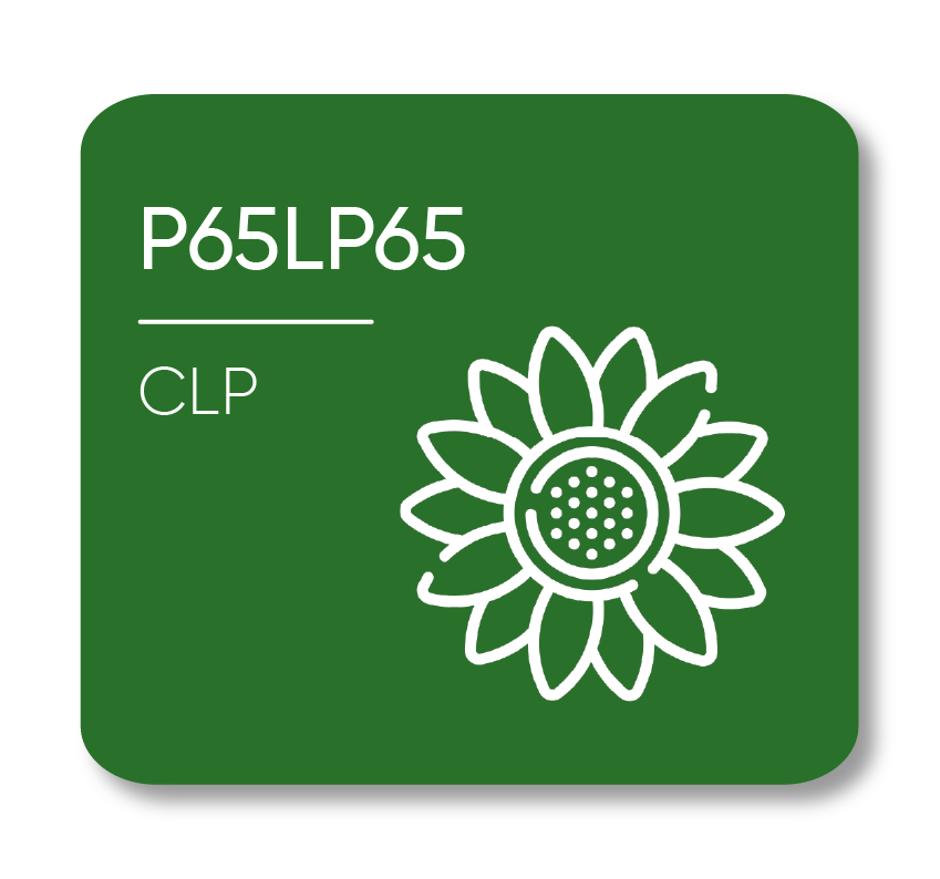 Description of Image 1