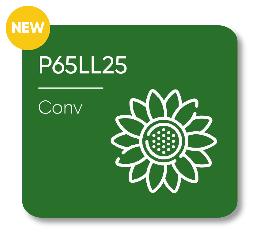 Description of Image 1