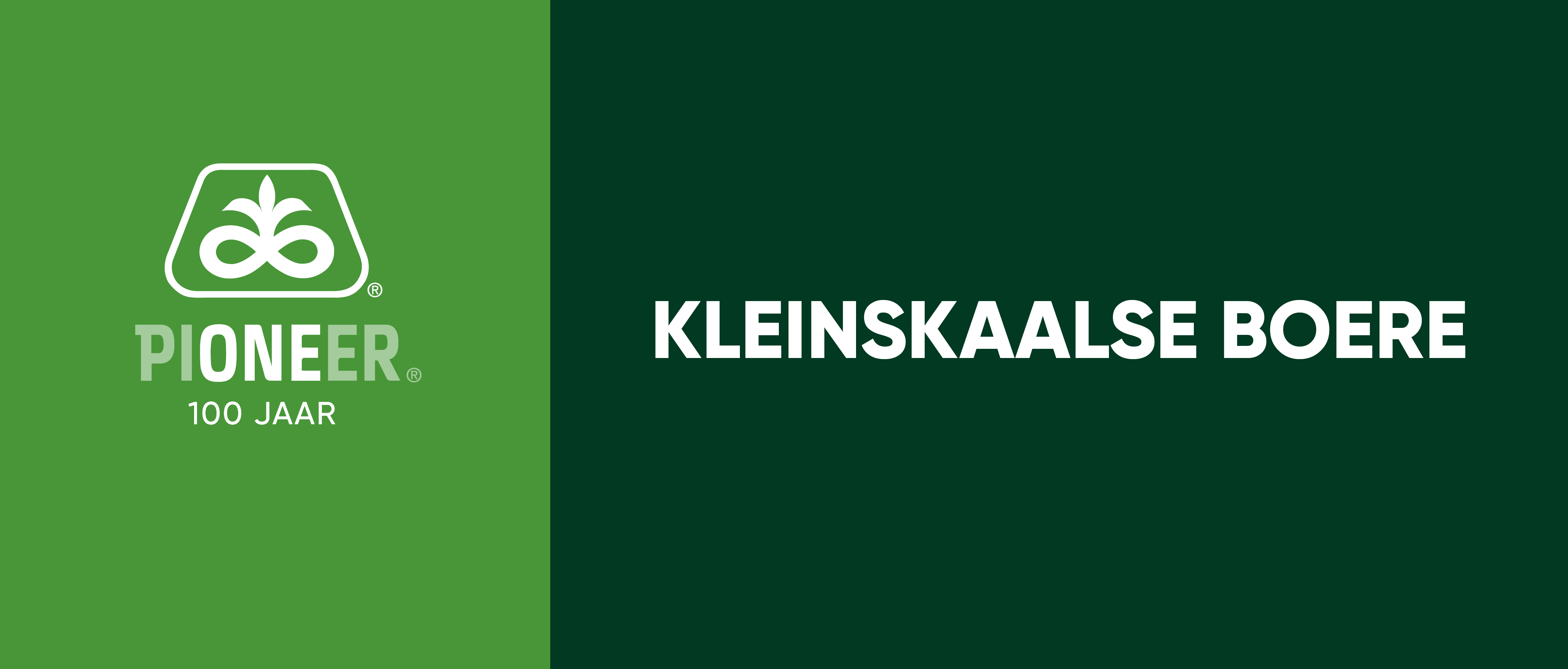 Description of Image 1