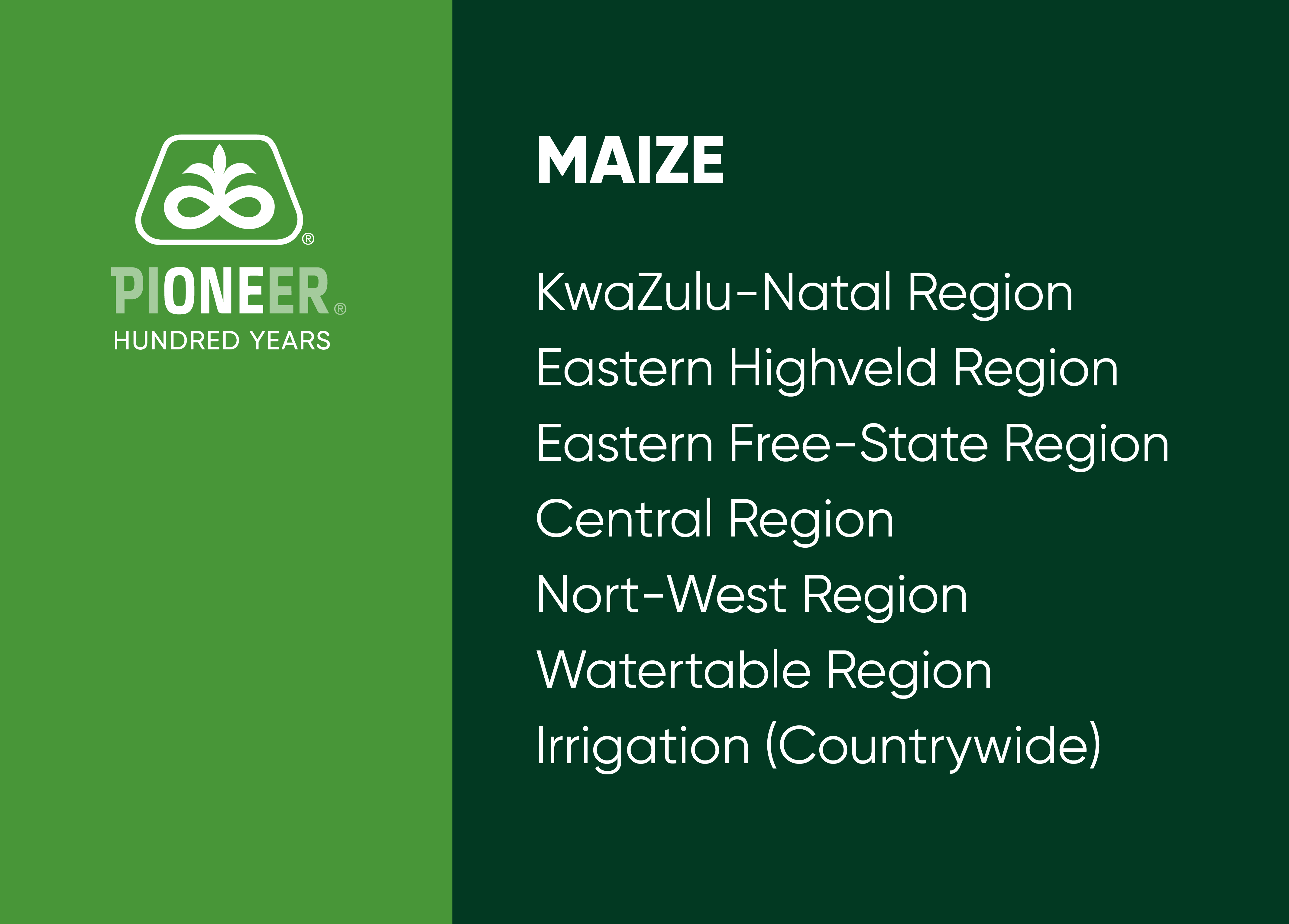 Description of Image 1