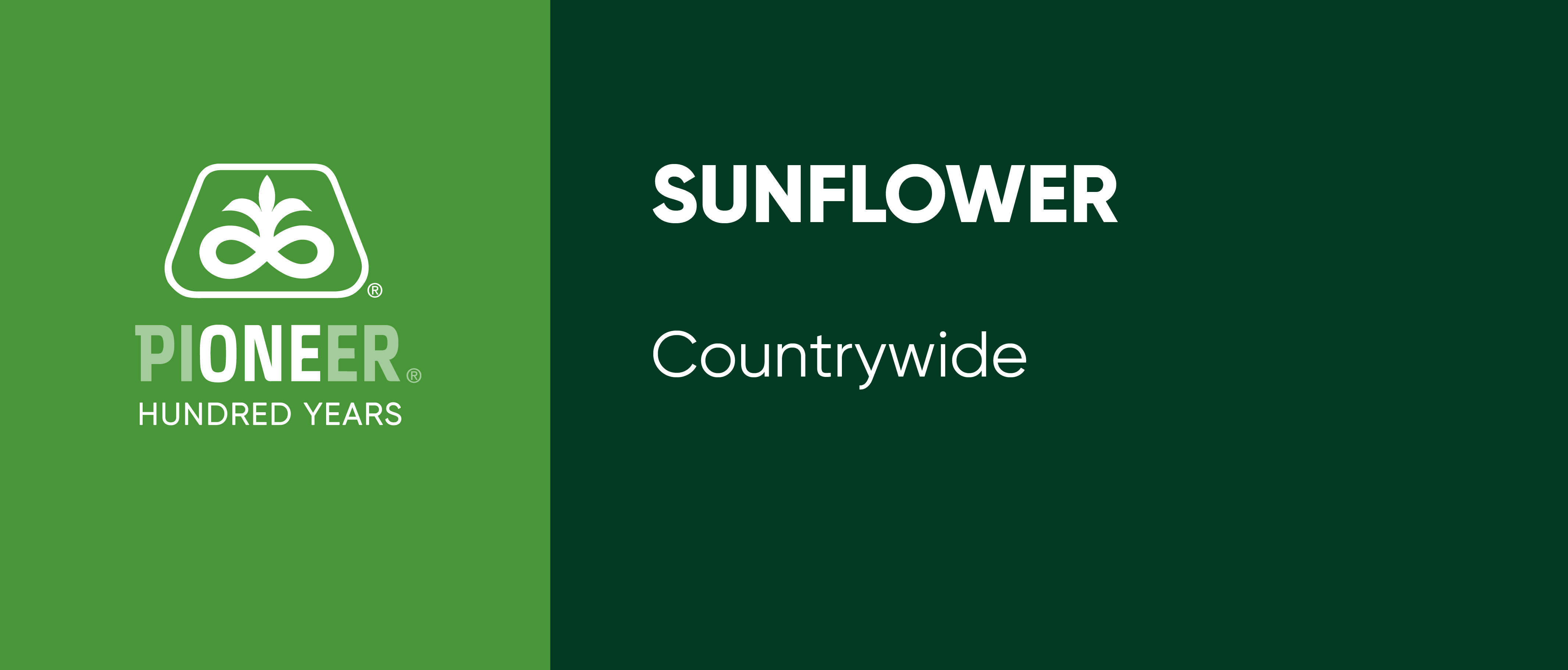 Description of Image 1