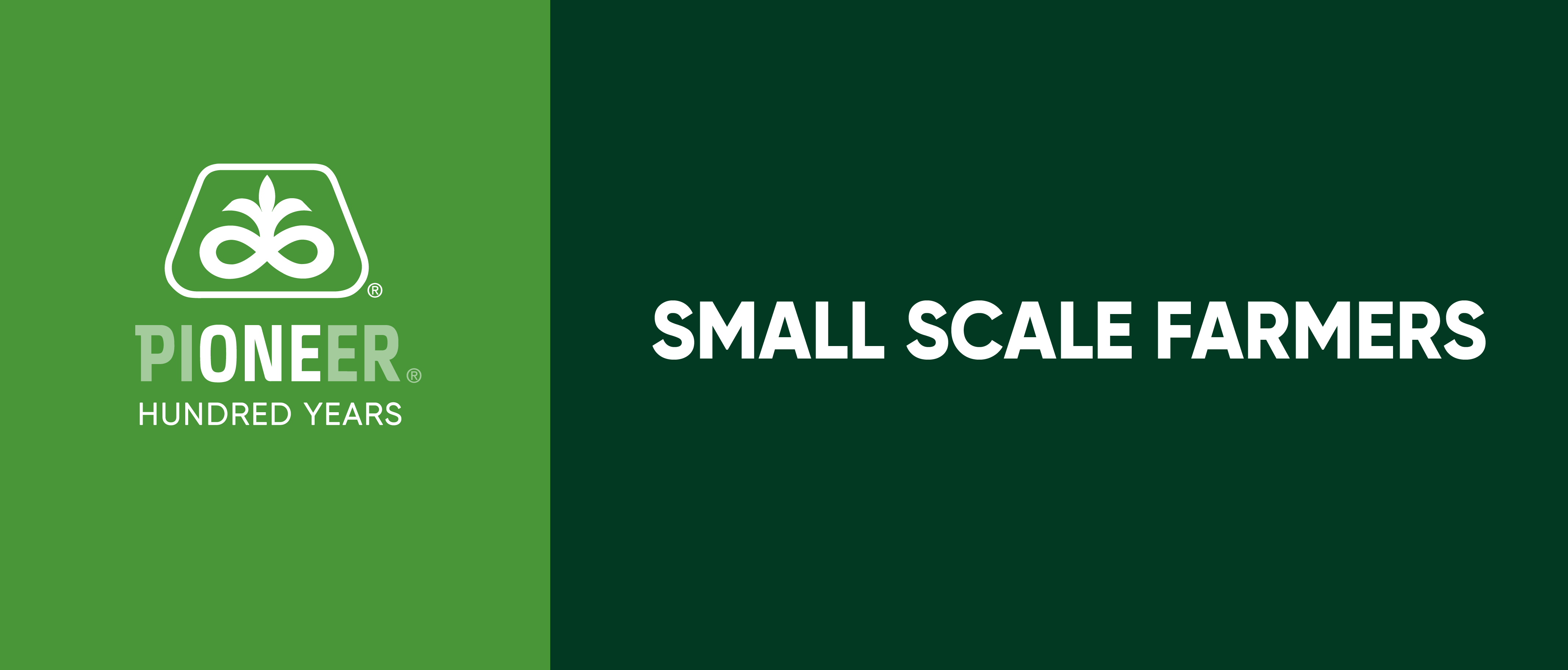 Description of Image 1