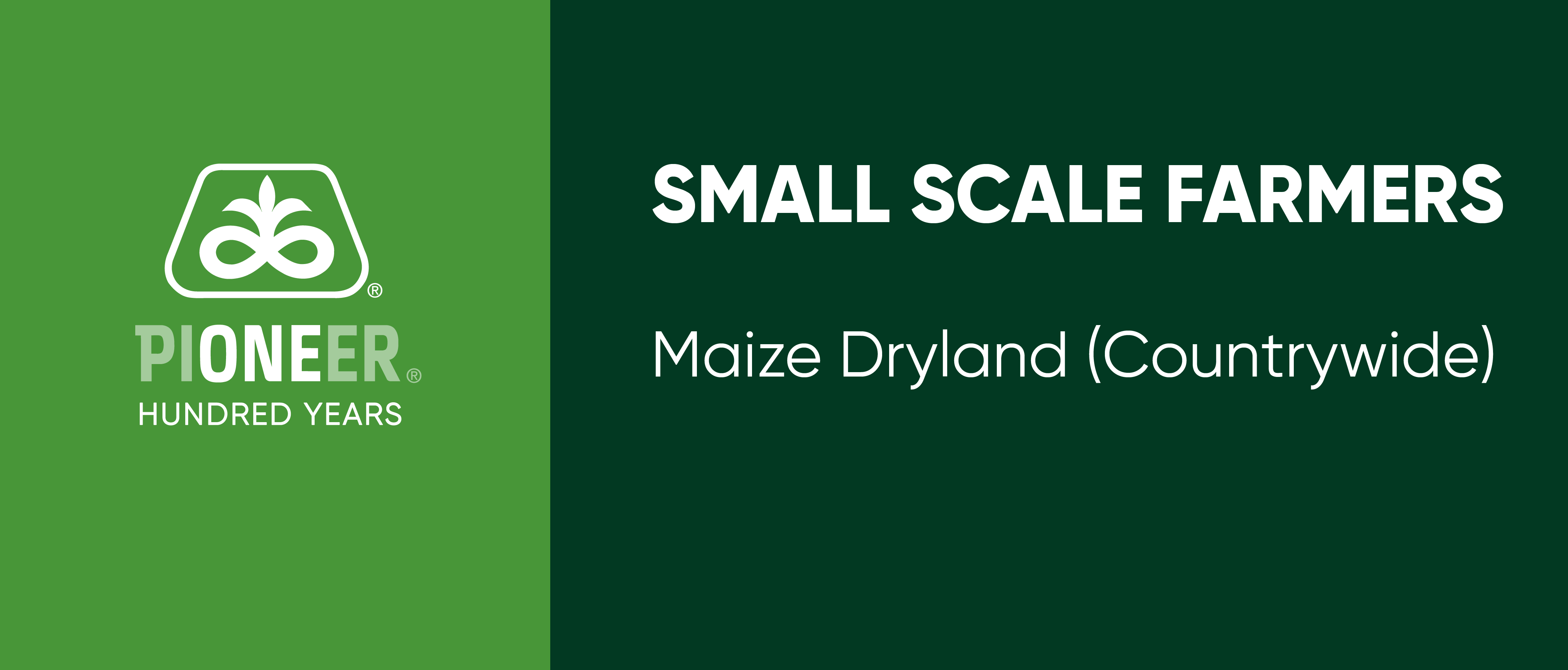 Description of Image 1