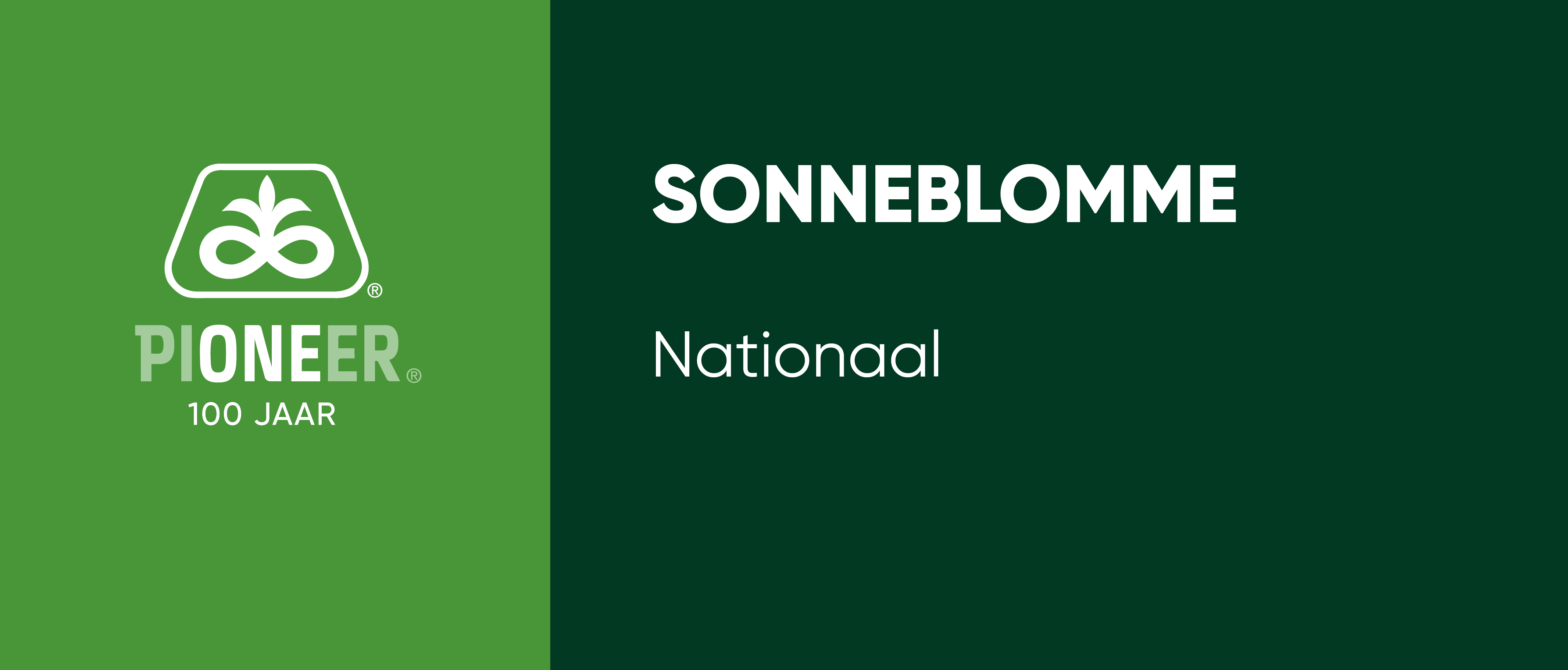 Description of Image 1