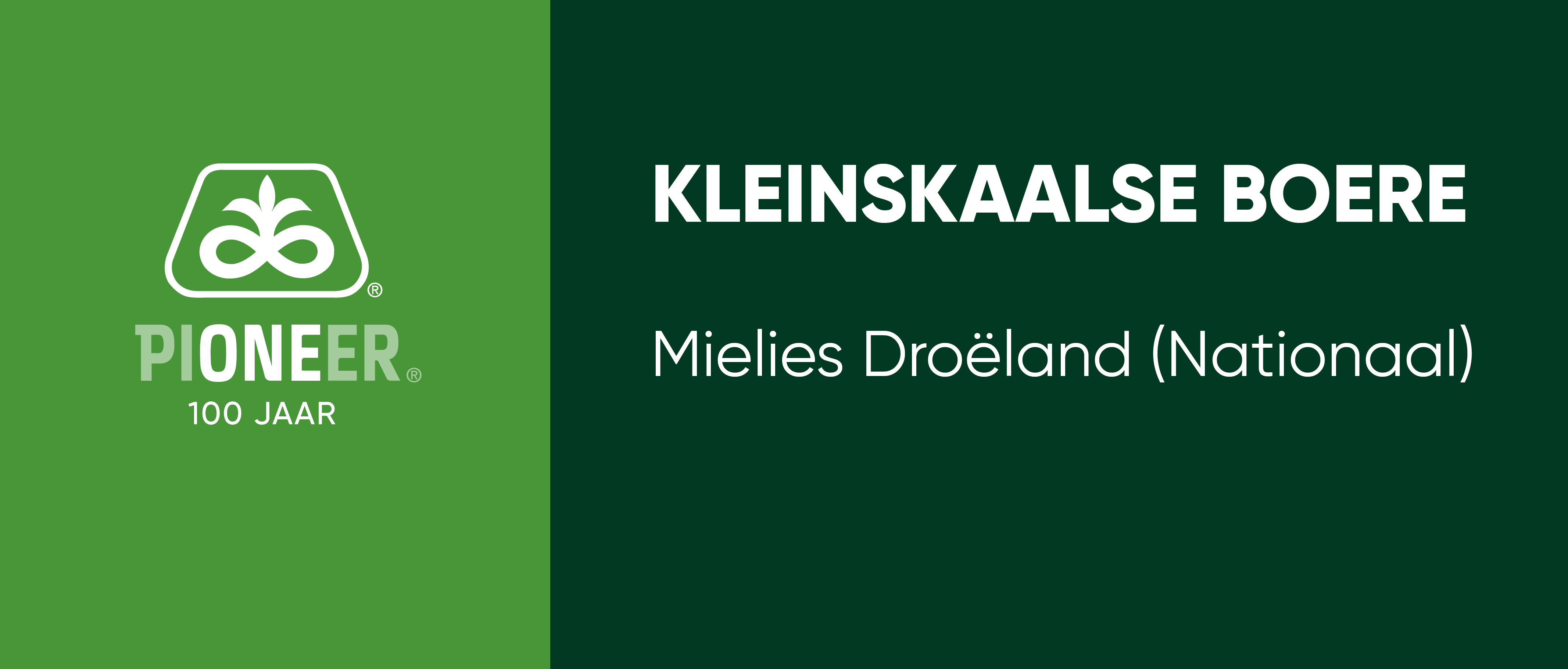 Description of Image 1