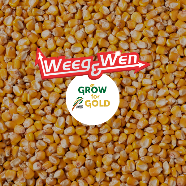 IMG-Canola-Guide-Image-ZA-V1
