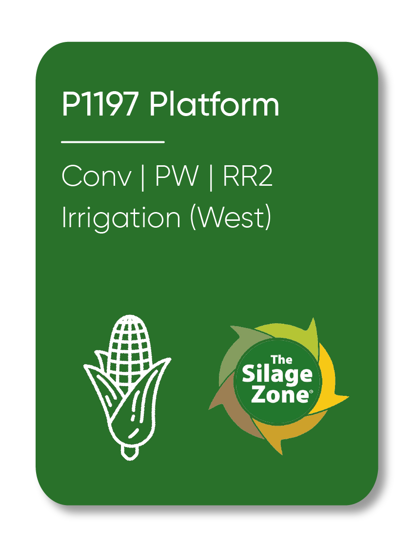 Description of Image 1