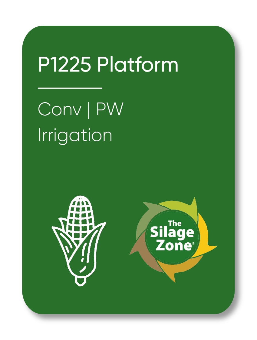 Description of Image 1