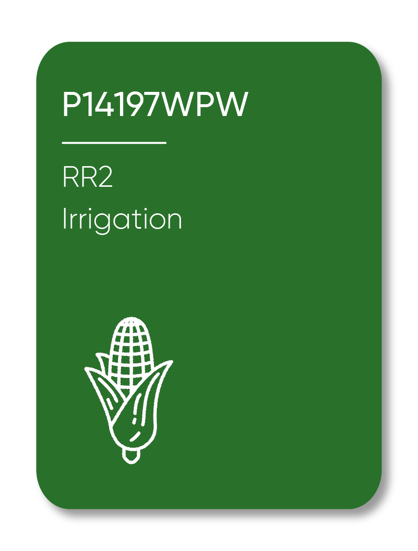 Description of Image 1