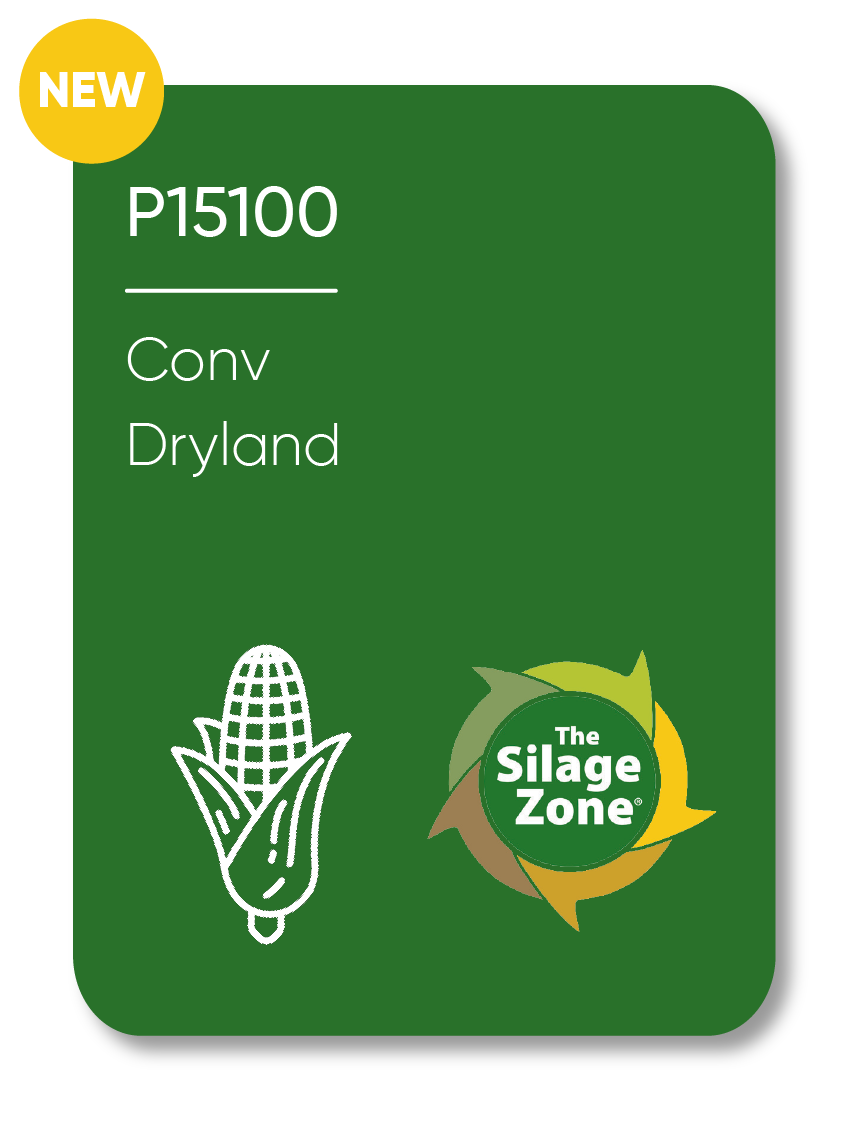 Description of Image 1