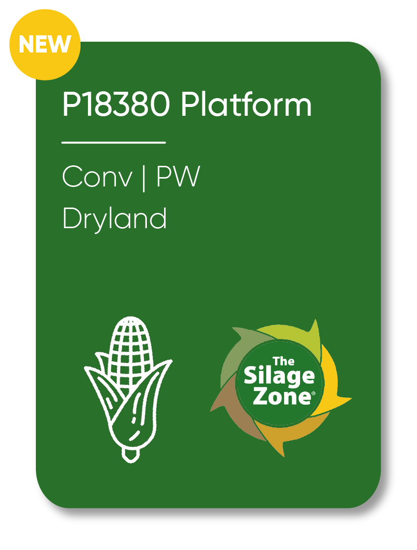 Description of Image 1