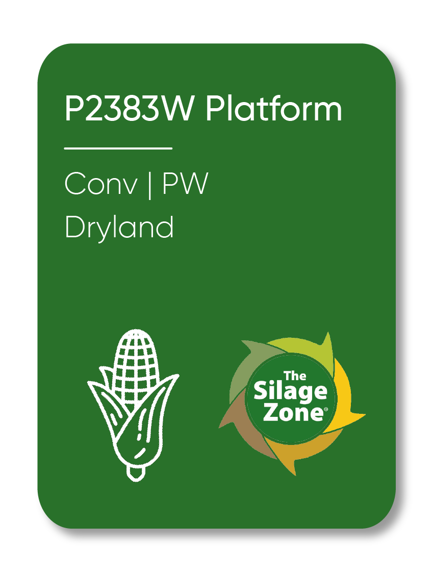 Description of Image 1