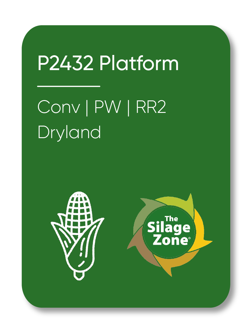 Description of Image 1