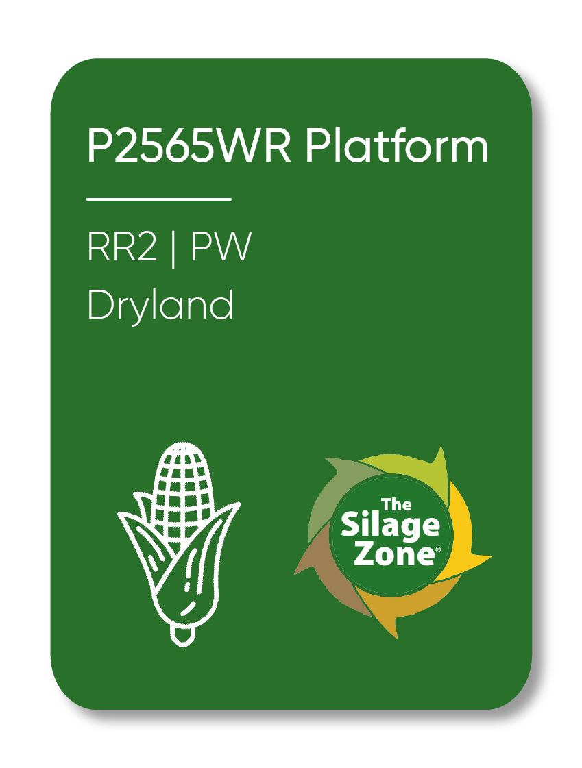 Description of Image 1