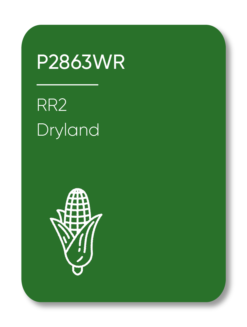 Description of Image 1