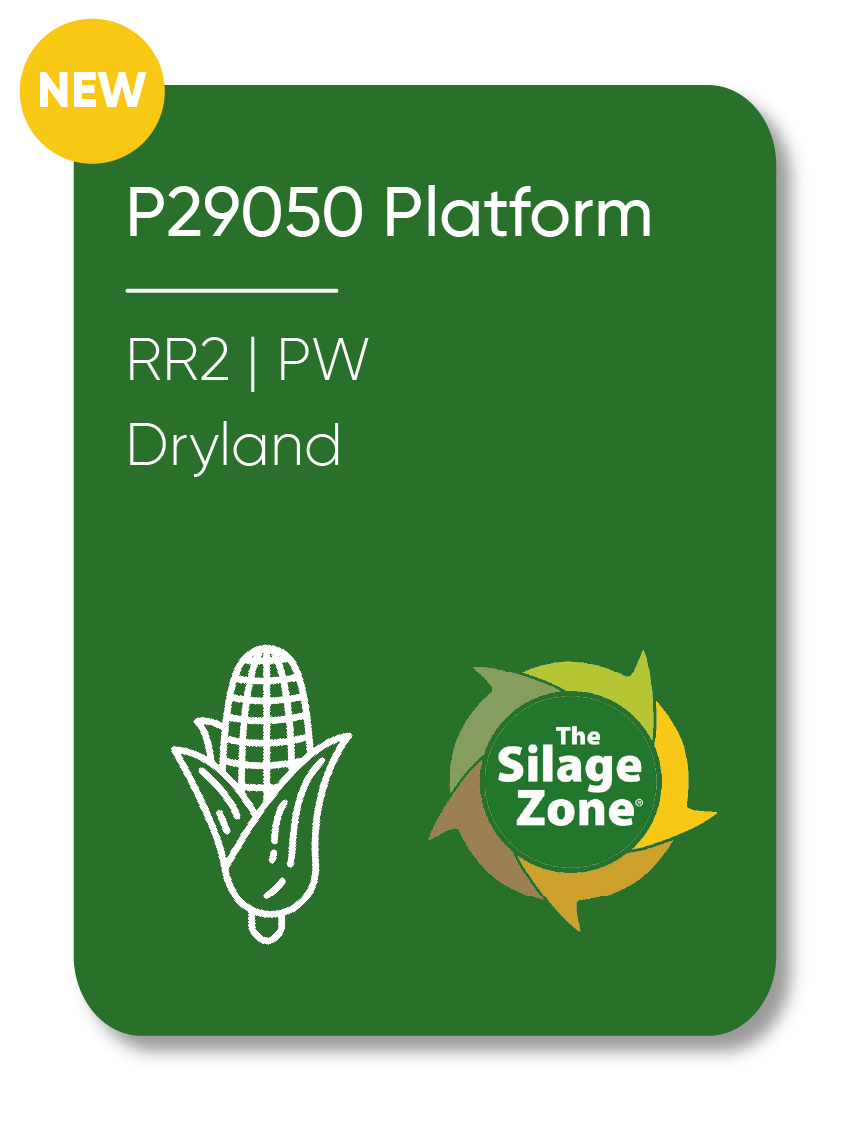 Description of Image 1