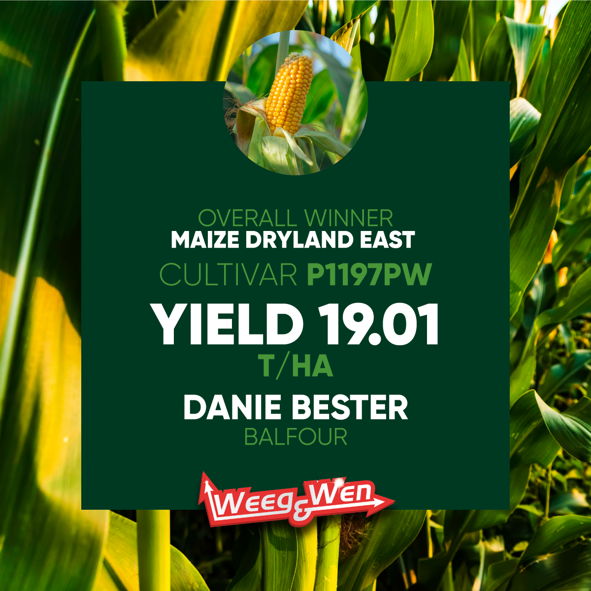 Description of Image 1