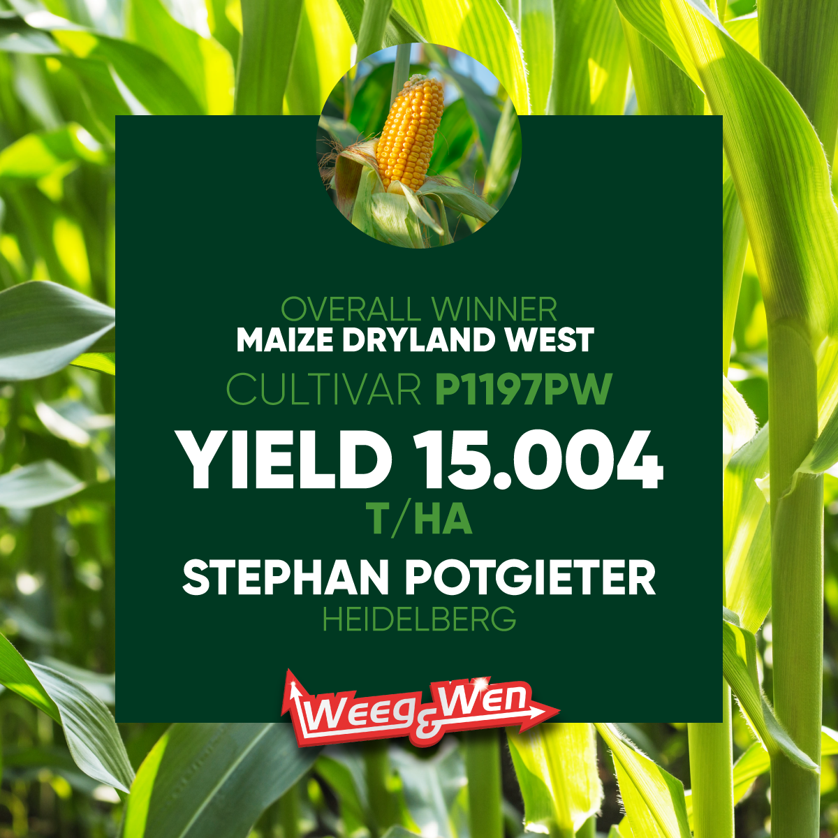 Description of Image 1