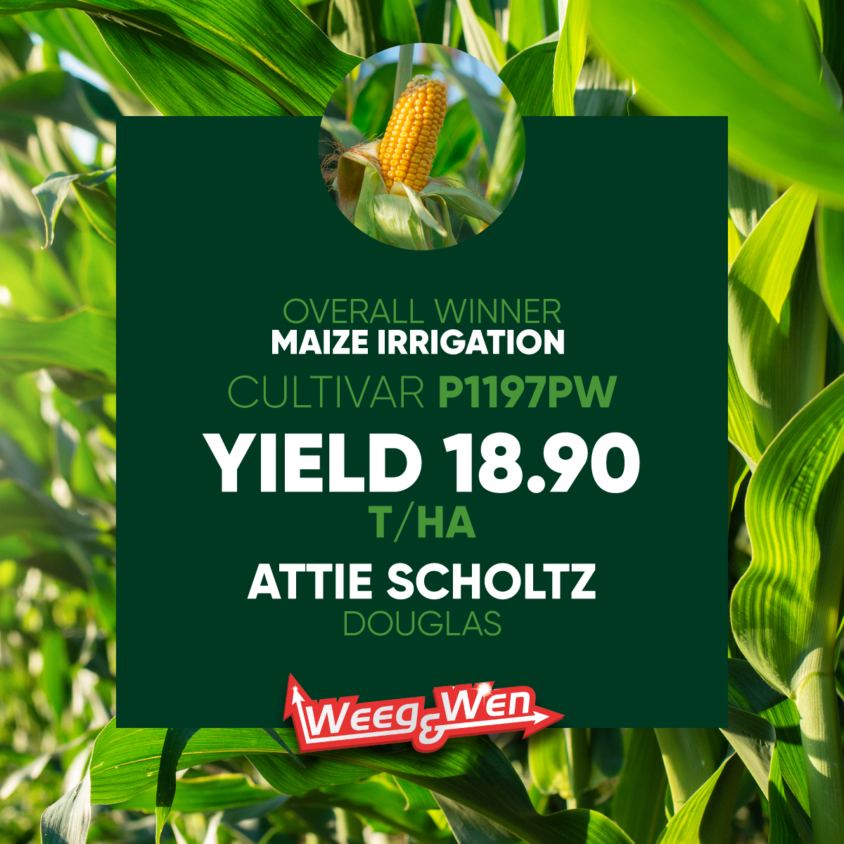 Description of Image 1