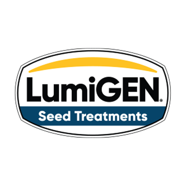 IMG-LumiGEN-Intro-Image-ZA-ZA-V1